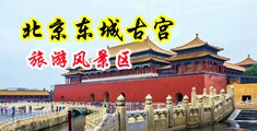 白虎美女干逼视频中国北京-东城古宫旅游风景区